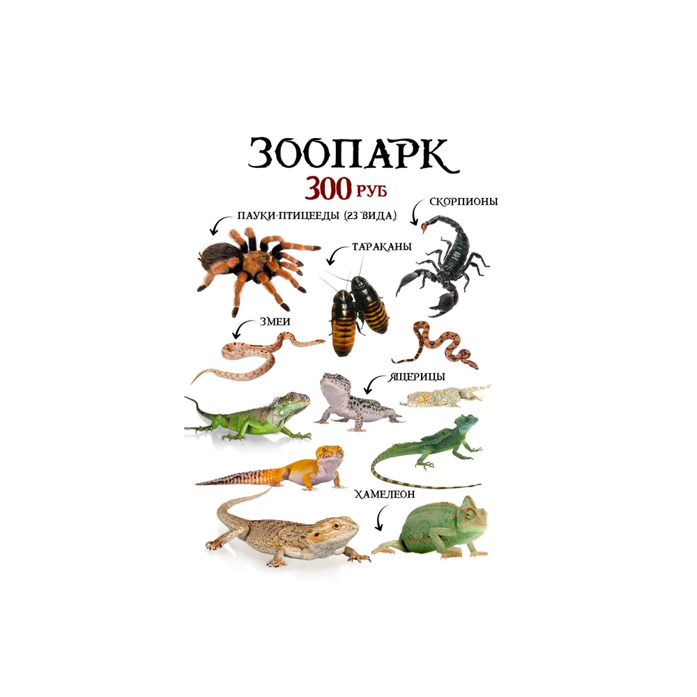 Посетите наш зоопарк